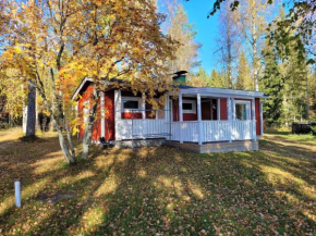 Pääsky Varpaisjärvi